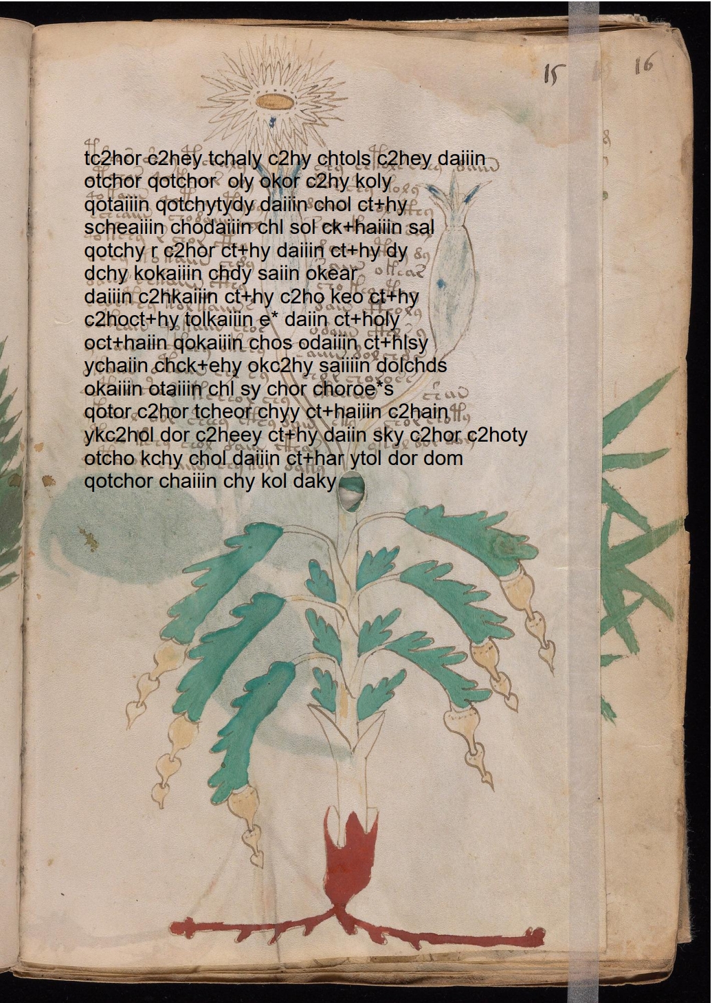 Folio 15r glyph overlay on parchment